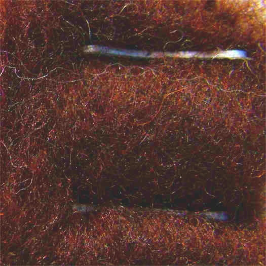 Merinowolle (bunt) - rehbraun extra fein im Vlies