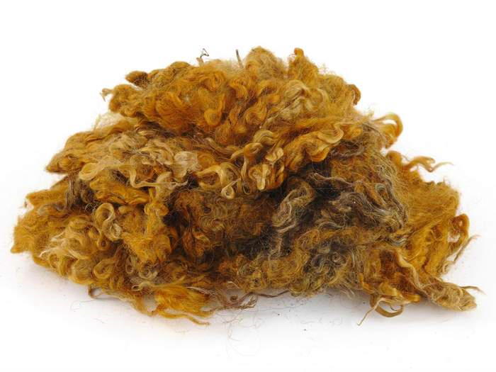 Skan. Wolllocken - dunkelgoldgelb mittelfein